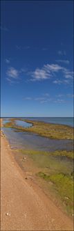 Thevenard Island - WA (PBH3 00 8840)